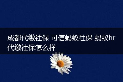 成都代缴社保 可信蚂蚁社保 蚂蚁hr代缴社保怎么样