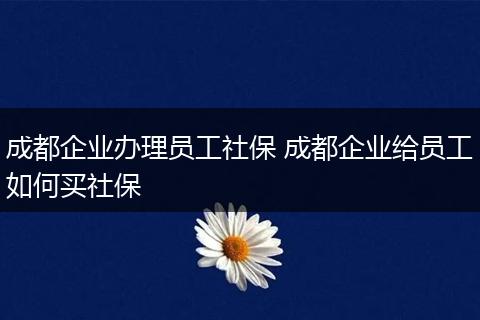 成都企业办理员工社保 成都企业给员工如何买社保