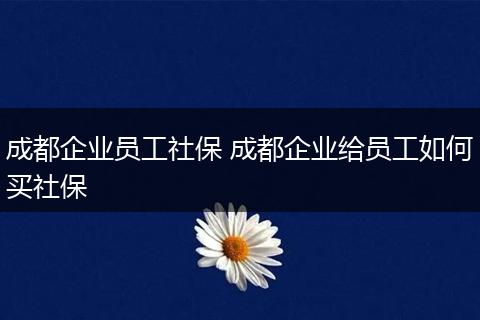 成都企业员工社保 成都企业给员工如何买社保
