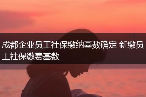 成都企业员工社保缴纳基数确定 新缴员工社保缴费基数