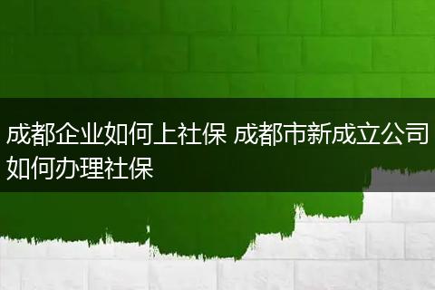 成都企业如何上社保 成都市新成立公司如何办理社保