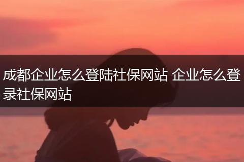 成都企业怎么登陆社保网站 企业怎么登录社保网站