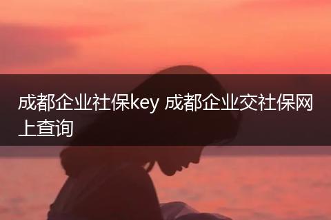 成都企业社保key 成都企业交社保网上查询