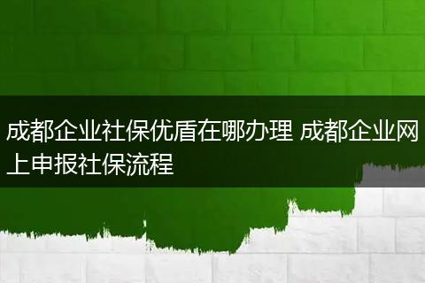 成都企业社保优盾在哪办理 成都企业网上申报社保流程