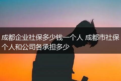 成都企业社保多少钱一个人 成都市社保个人和公司各承担多少