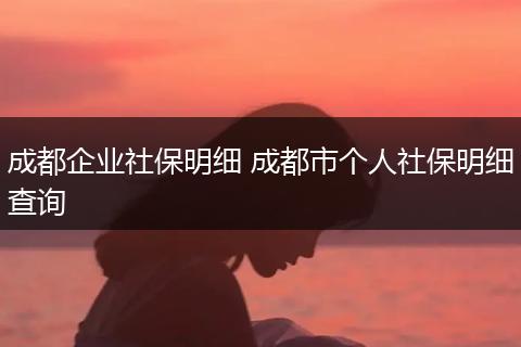 成都企业社保明细 成都市个人社保明细查询