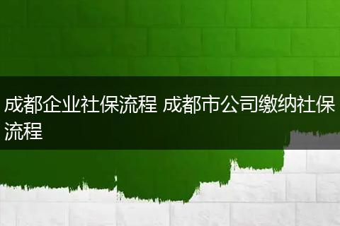 成都企业社保流程 成都市公司缴纳社保流程
