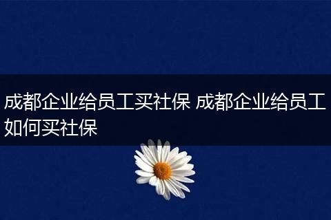 成都企业给员工买社保 成都企业给员工如何买社保