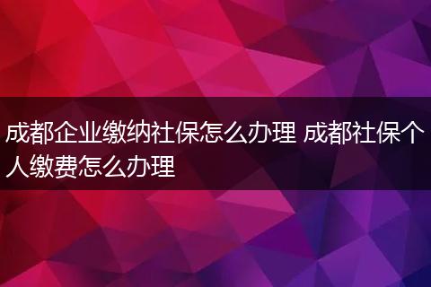 成都企业缴纳社保怎么办理 成都社保个人缴费怎么办理