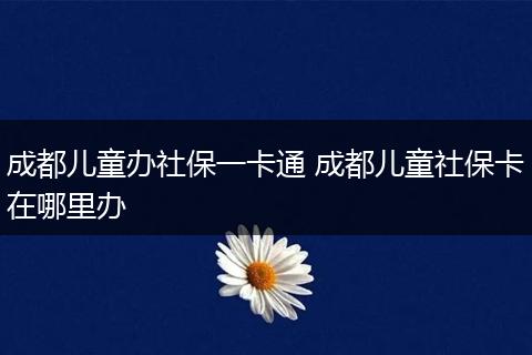成都儿童办社保一卡通 成都儿童社保卡在哪里办