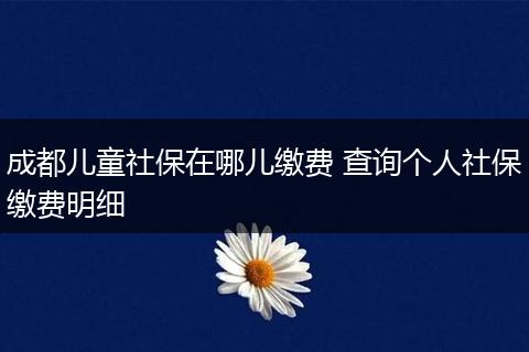 成都儿童社保在哪儿缴费 查询个人社保缴费明细