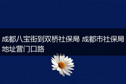 成都八宝街到双桥社保局 成都市社保局地址营门口路