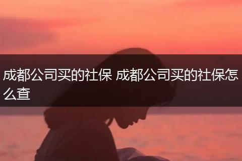 成都公司买的社保 成都公司买的社保怎么查