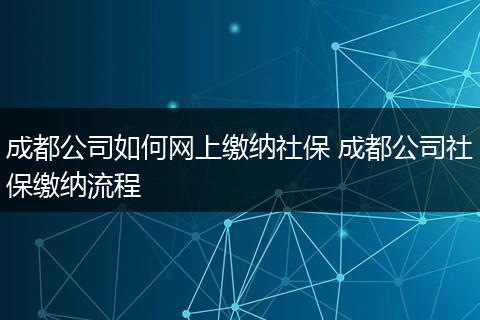 成都公司如何网上缴纳社保 成都公司社保缴纳流程