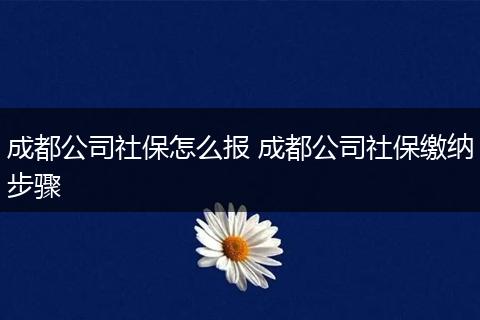 成都公司社保怎么报 成都公司社保缴纳步骤