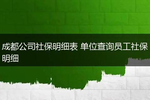 成都公司社保明细表 单位查询员工社保明细