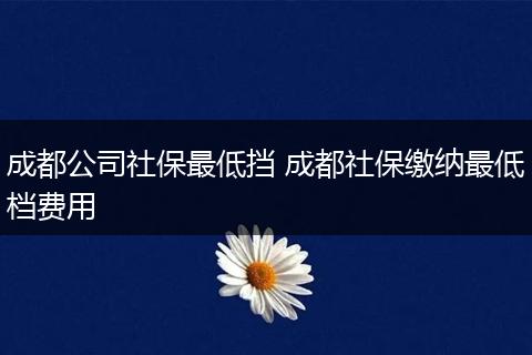 成都公司社保最低挡 成都社保缴纳最低档费用
