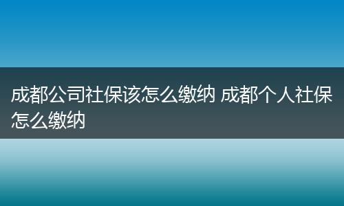 成都公司社保该怎么缴纳 成都个人社保怎么缴纳