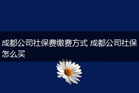 成都公司社保费缴费方式 成都公司社保怎么买