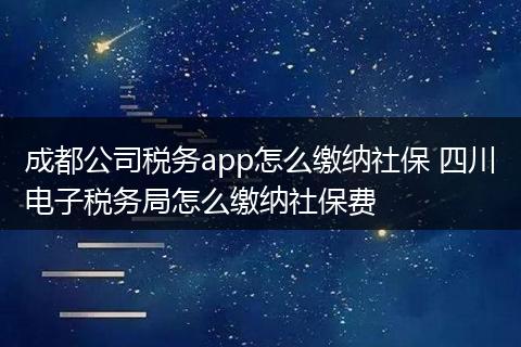 成都公司税务app怎么缴纳社保 四川电子税务局怎么缴纳社保费