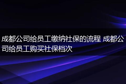 成都公司给员工缴纳社保的流程 成都公司给员工购买社保档次