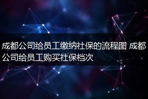 成都公司给员工缴纳社保的流程图 成都公司给员工购买社保档次