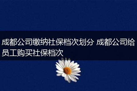 成都公司缴纳社保档次划分 成都公司给员工购买社保档次