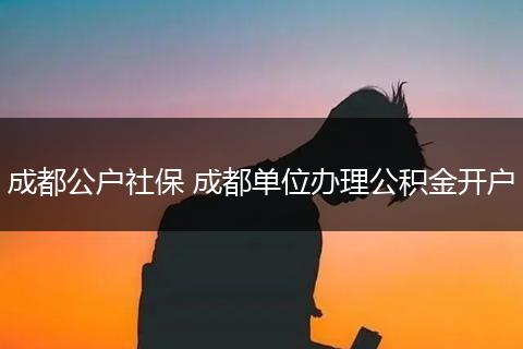 成都公户社保 成都单位办理公积金开户