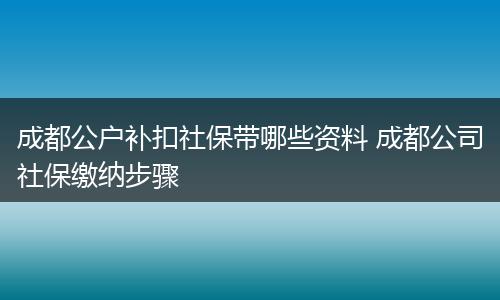 成都公户补扣社保带哪些资料 成都公司社保缴纳步骤