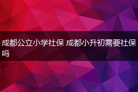 成都公立小学社保 成都小升初需要社保吗