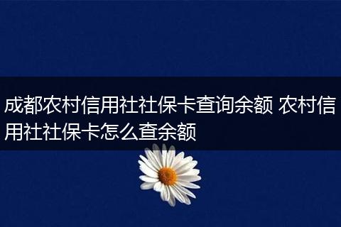 成都农村信用社社保卡查询余额 农村信用社社保卡怎么查余额