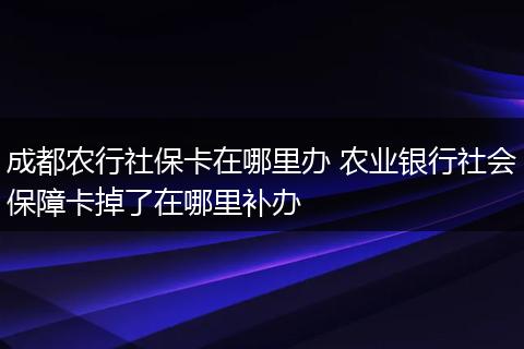 成都农行社保卡在哪里办 农业银行社会保障卡掉了在哪里补办