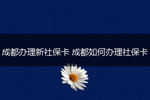 成都办理新社保卡 成都如何办理社保卡