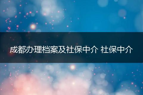 成都办理档案及社保中介 社保中介
