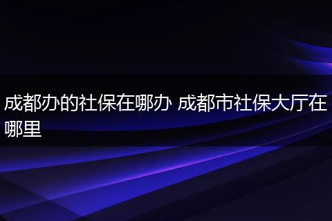 成都办的社保在哪办 成都市社保大厅在哪里