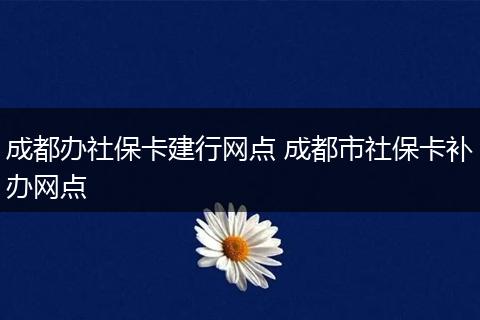 成都办社保卡建行网点 成都市社保卡补办网点