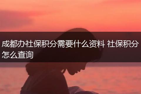 成都办社保积分需要什么资料 社保积分怎么查询