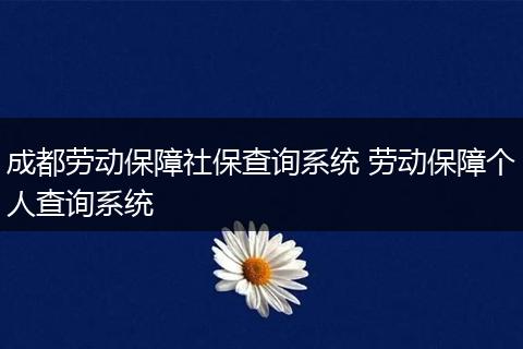 成都劳动保障社保查询系统 劳动保障个人查询系统