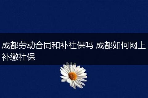 成都劳动合同和补社保吗 成都如何网上补缴社保