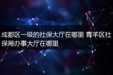 成都区一级的社保大厅在哪里 青羊区社保局办事大厅在哪里