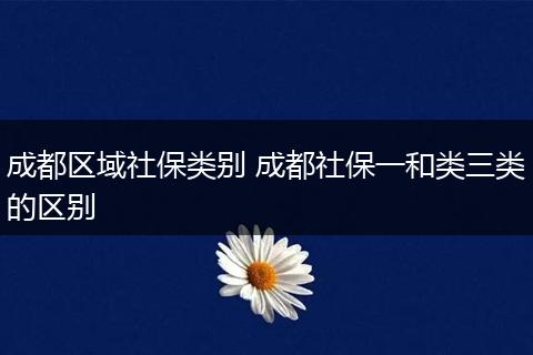 成都区域社保类别 成都社保一和类三类的区别