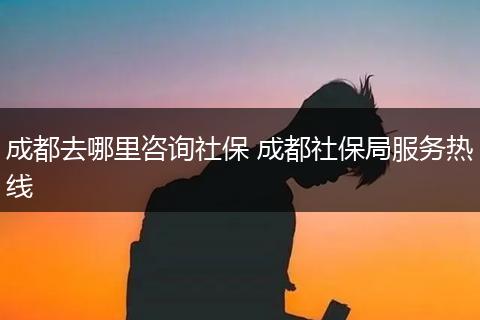 成都去哪里咨询社保 成都社保局服务热线