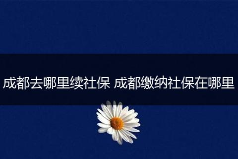 成都去哪里续社保 成都缴纳社保在哪里