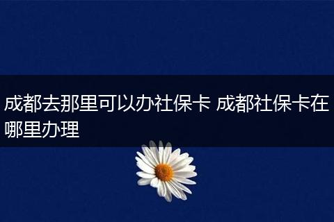 成都去那里可以办社保卡 成都社保卡在哪里办理