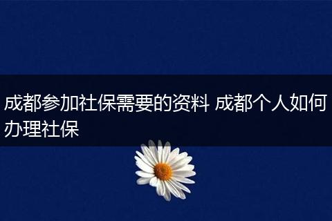 成都参加社保需要的资料 成都个人如何办理社保