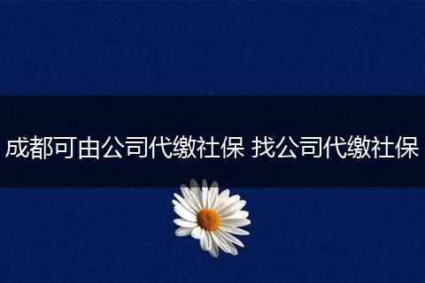 成都可由公司代缴社保 找公司代缴社保