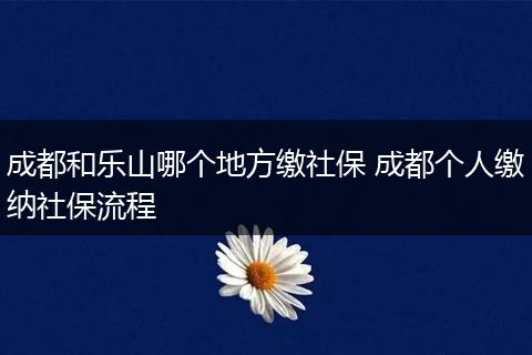 成都和乐山哪个地方缴社保 成都个人缴纳社保流程