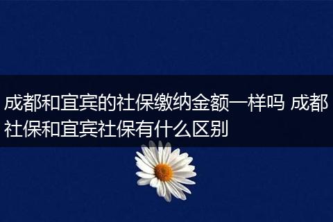 成都和宜宾的社保缴纳金额一样吗 成都社保和宜宾社保有什么区别