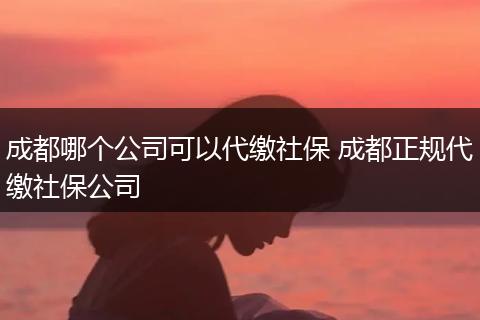 成都哪个公司可以代缴社保 成都正规代缴社保公司