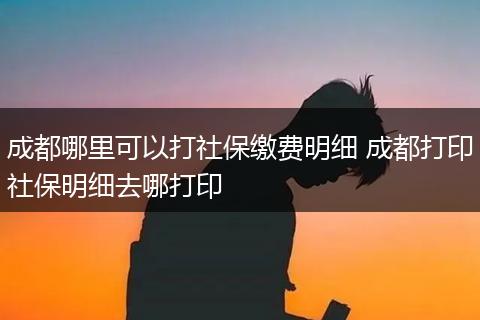 成都哪里可以打社保缴费明细 成都打印社保明细去哪打印